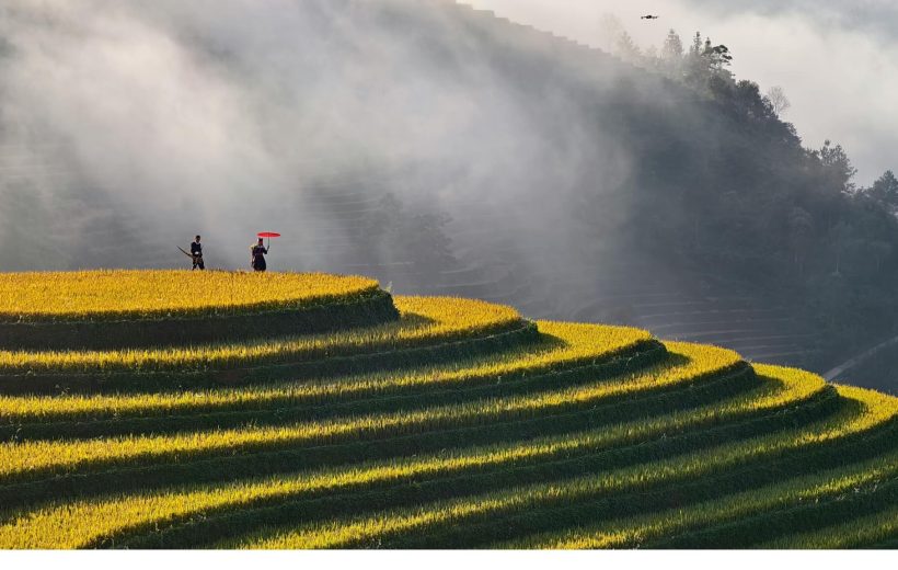 Restore & Reconnect: Vietnam Refined Wellness Retreat 9 days